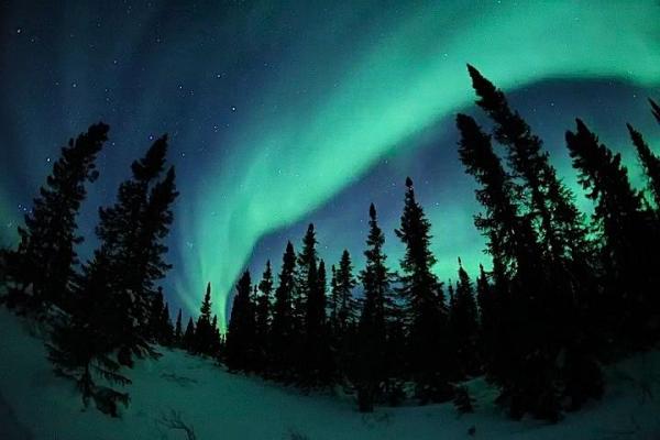 Northern Lights