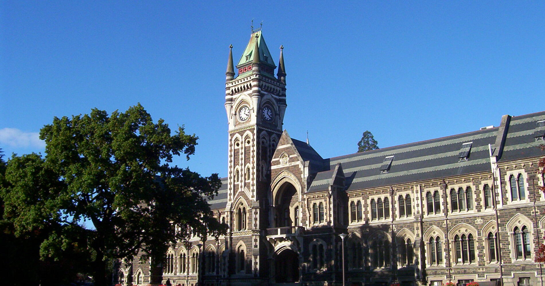 Universities, colleges in New Zealand