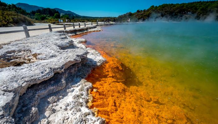 Wai-O-Tapu Thermal Wonderland